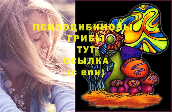 mdpv Арсеньев