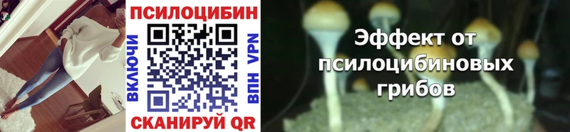 ссылка на мегу как войти  Ивдель  Псилоцибиновые грибы Psilocybine cubensis  где можно купить наркотик 